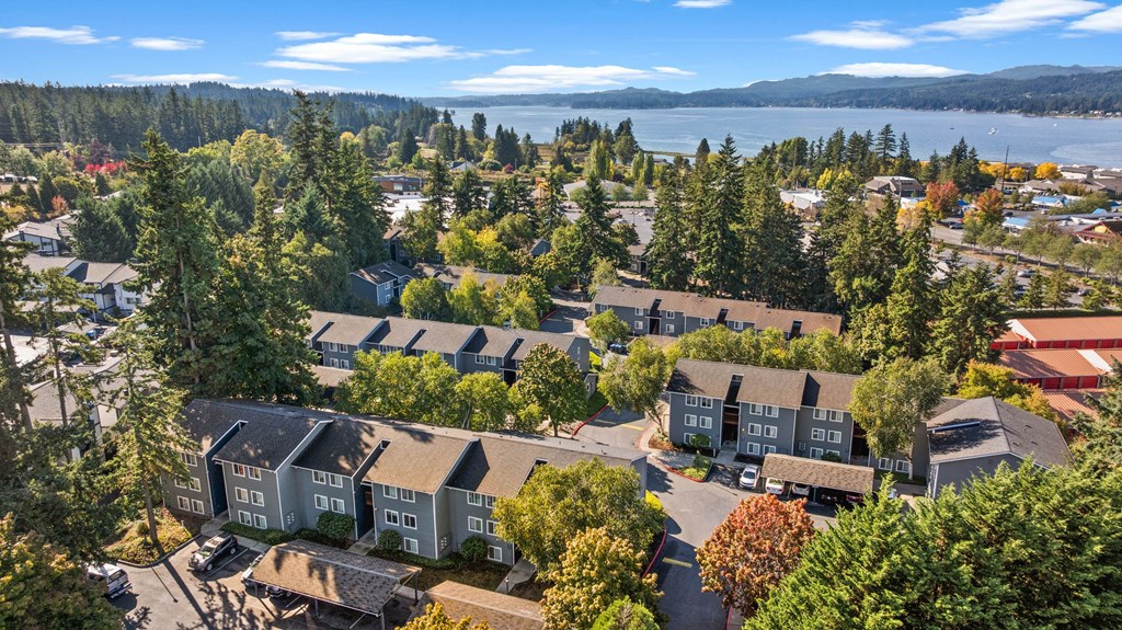 A bird's eye view of a residential area with houses surrounded by trees.
