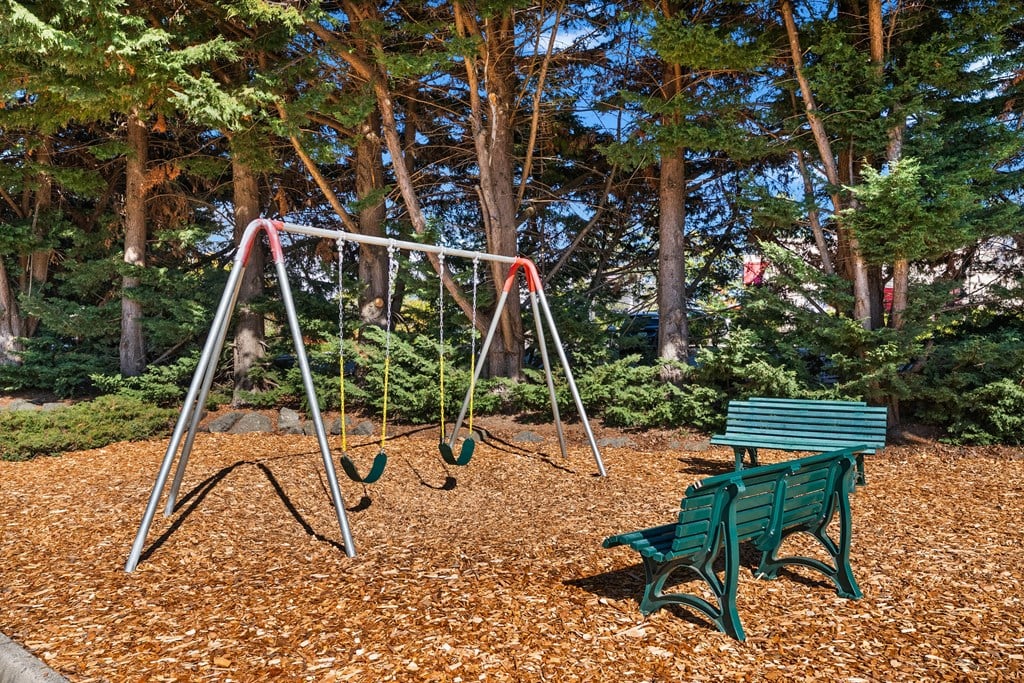 A swing set with a green bench in front of a tree.