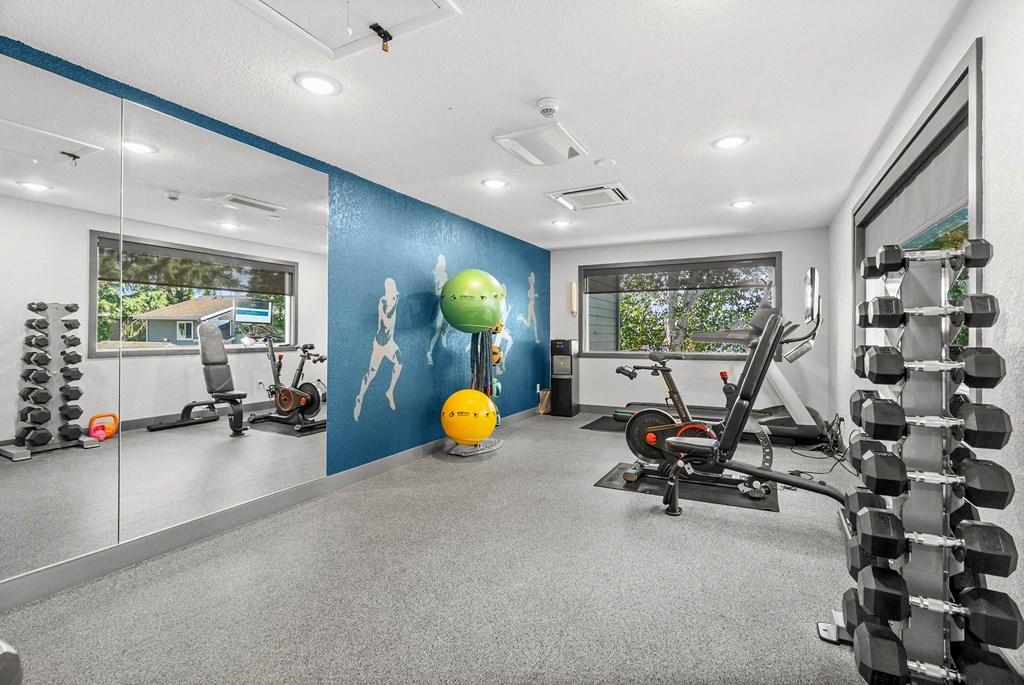 A gym with a blue wall and a variety of exercise equipment.
