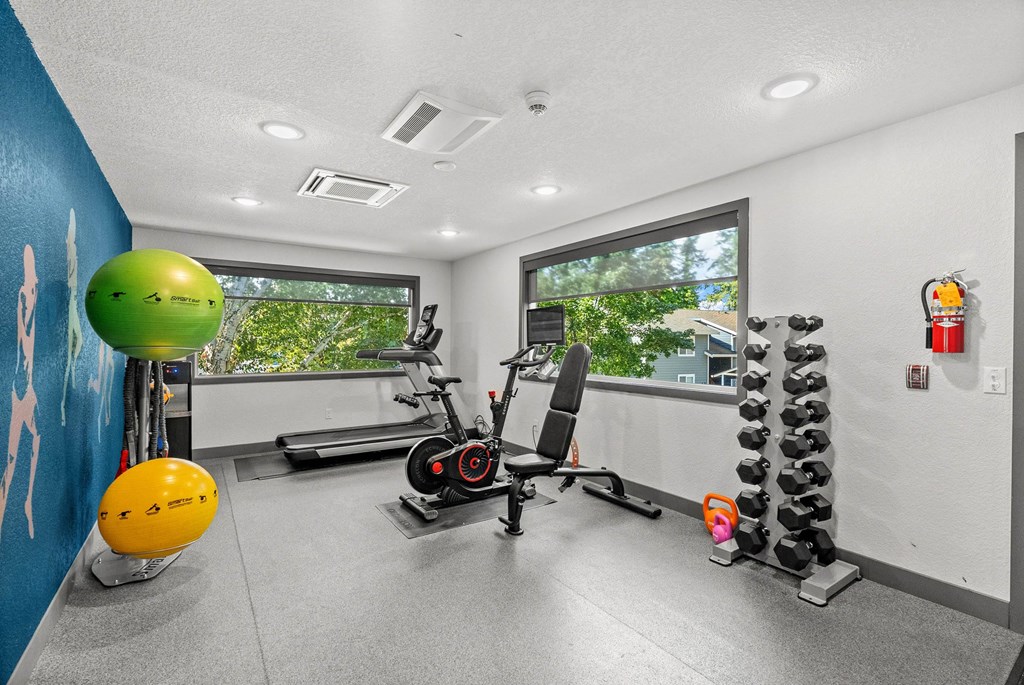 A gym room with a row of dumbbells and a stationary bike.
