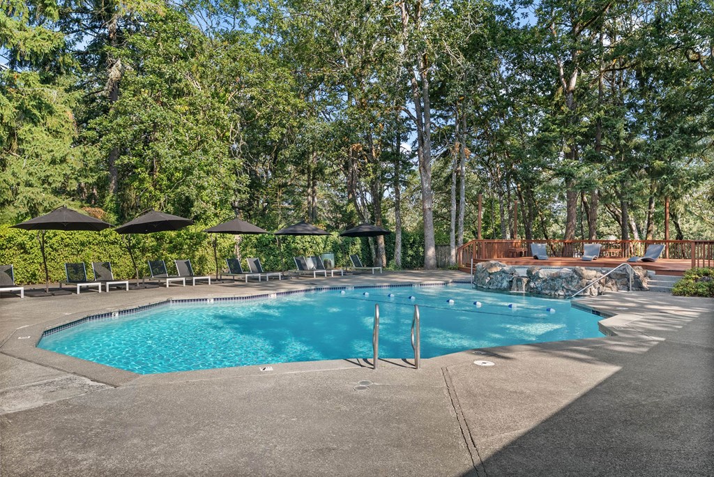 A large outdoor swimming pool surrounded by trees and lounge chairs.