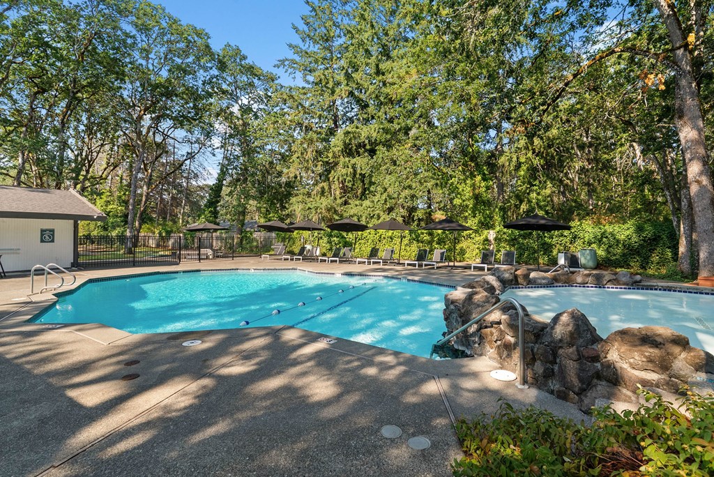 A large outdoor swimming pool surrounded by trees.
