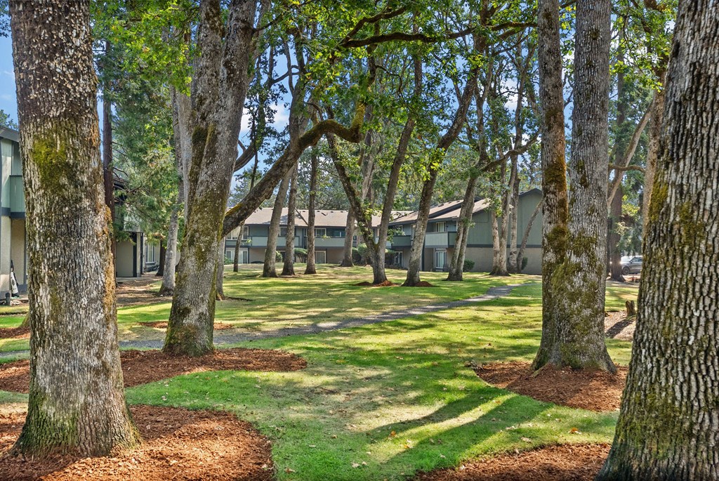 Outside of Timbre Apartments for Rent in Lakewood