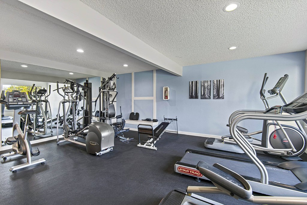 A gym with a variety of exercise equipment including treadmills, weights, and exercise machines.