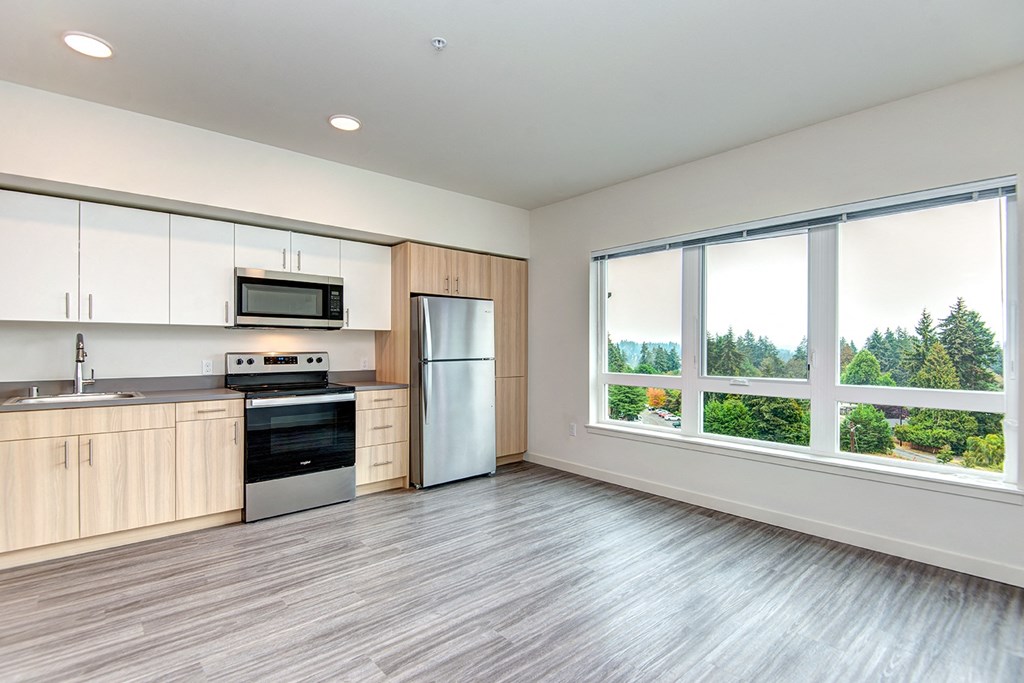 Edmonds Apartments Hazel Apartments- kitchen