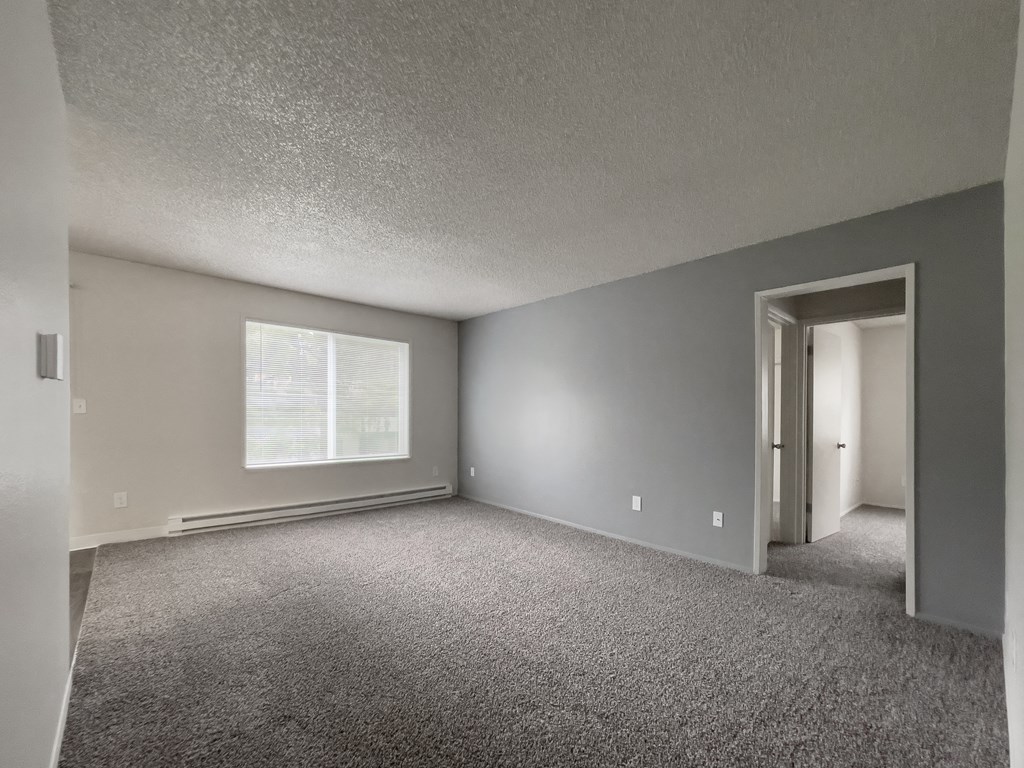 an empty living room with carpet and a window