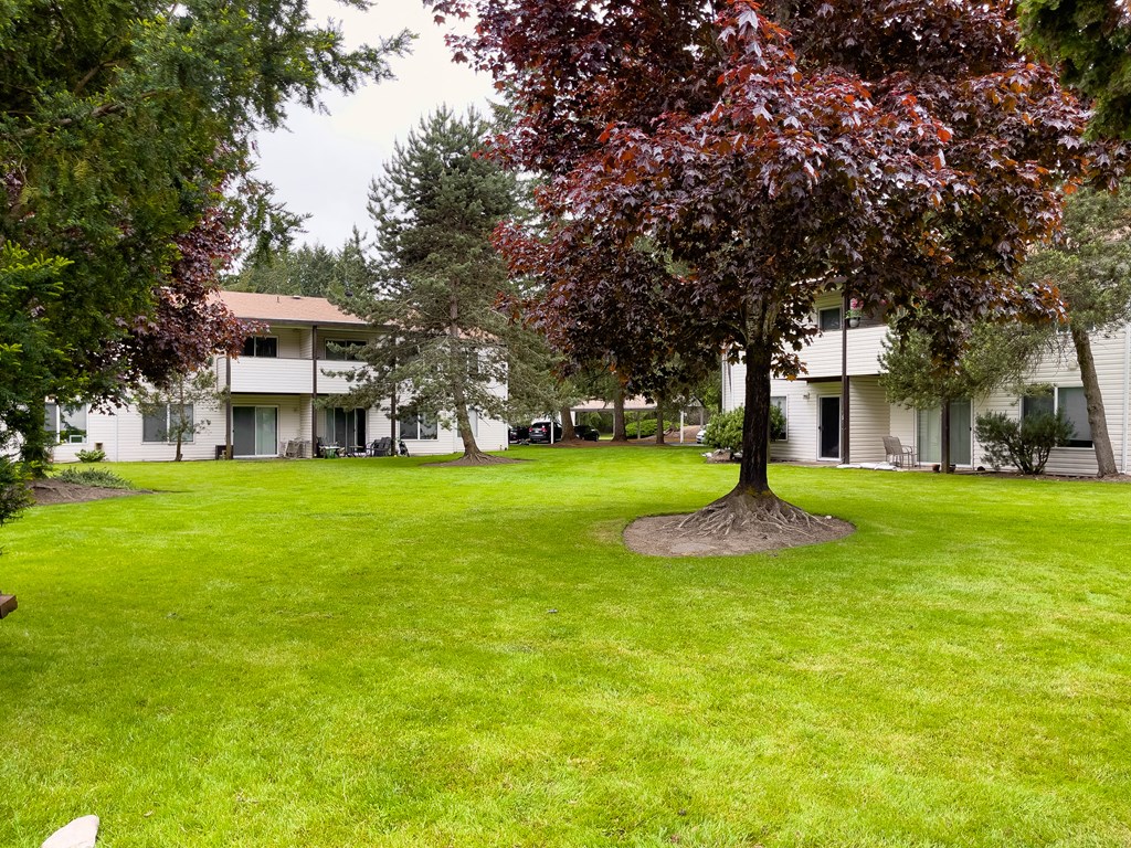 a tree in the middle of a green lawn in front of a building