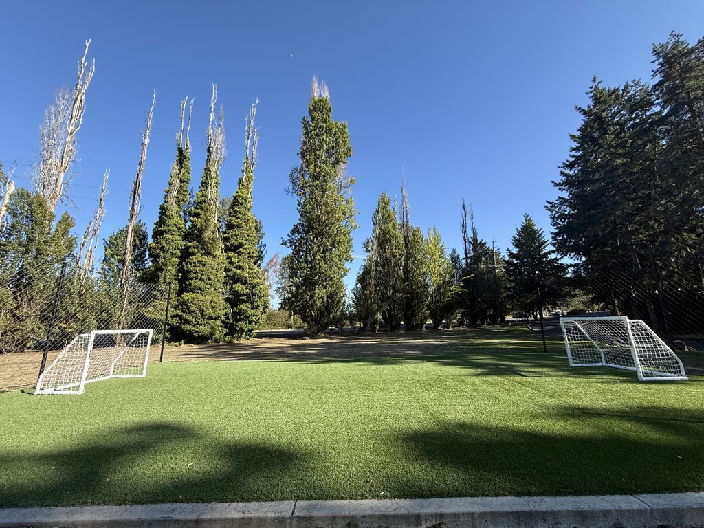 A soccer field with goal posts and trees in the background.