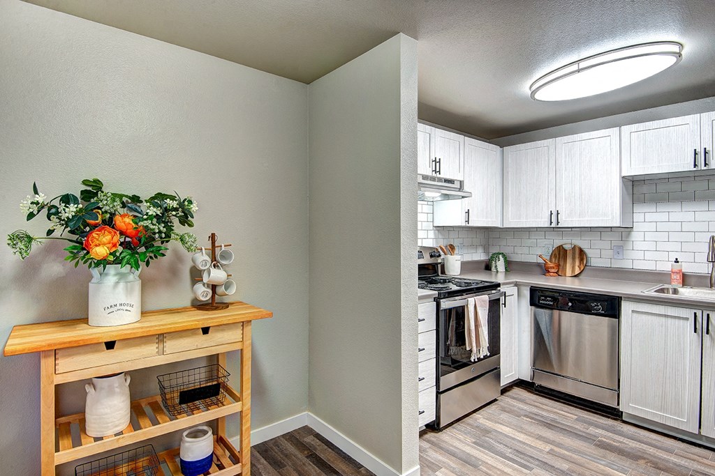 The Lynx Apartments  Kitchen