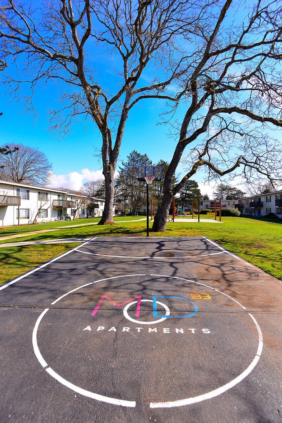 Lakewood Apartments - MOD 83 Apartments - Basketball