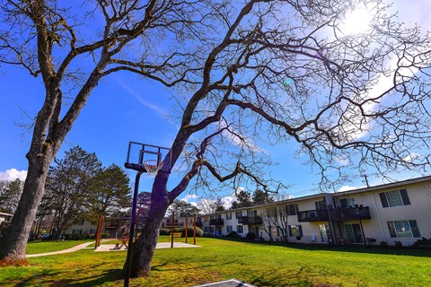 Lakewood Apartments - MOD 83 Apartments - Exterior