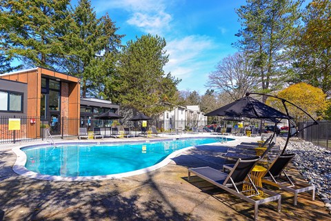 Lakewood Apartments - MOD 83 Apartments - Community Pool 3