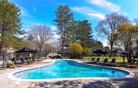 Lakewood Apartments - MOD 83 Apartments - Community Pool 2