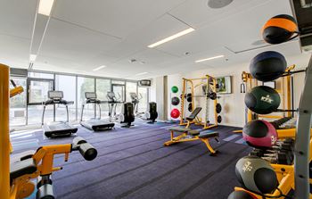 A gym with a variety of equipment including weights and exercise machines.
