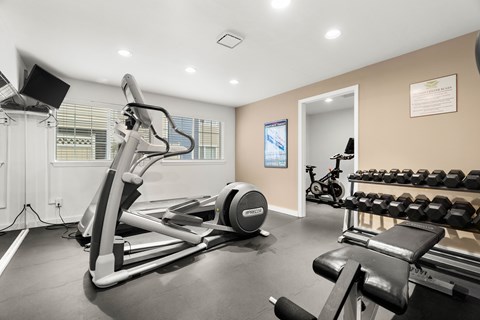 A gym with a treadmill, weights, and exercise equipment.