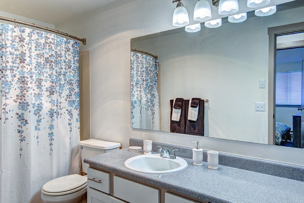 Tacoma Apartments- Heatherstone Apartments-bathroom