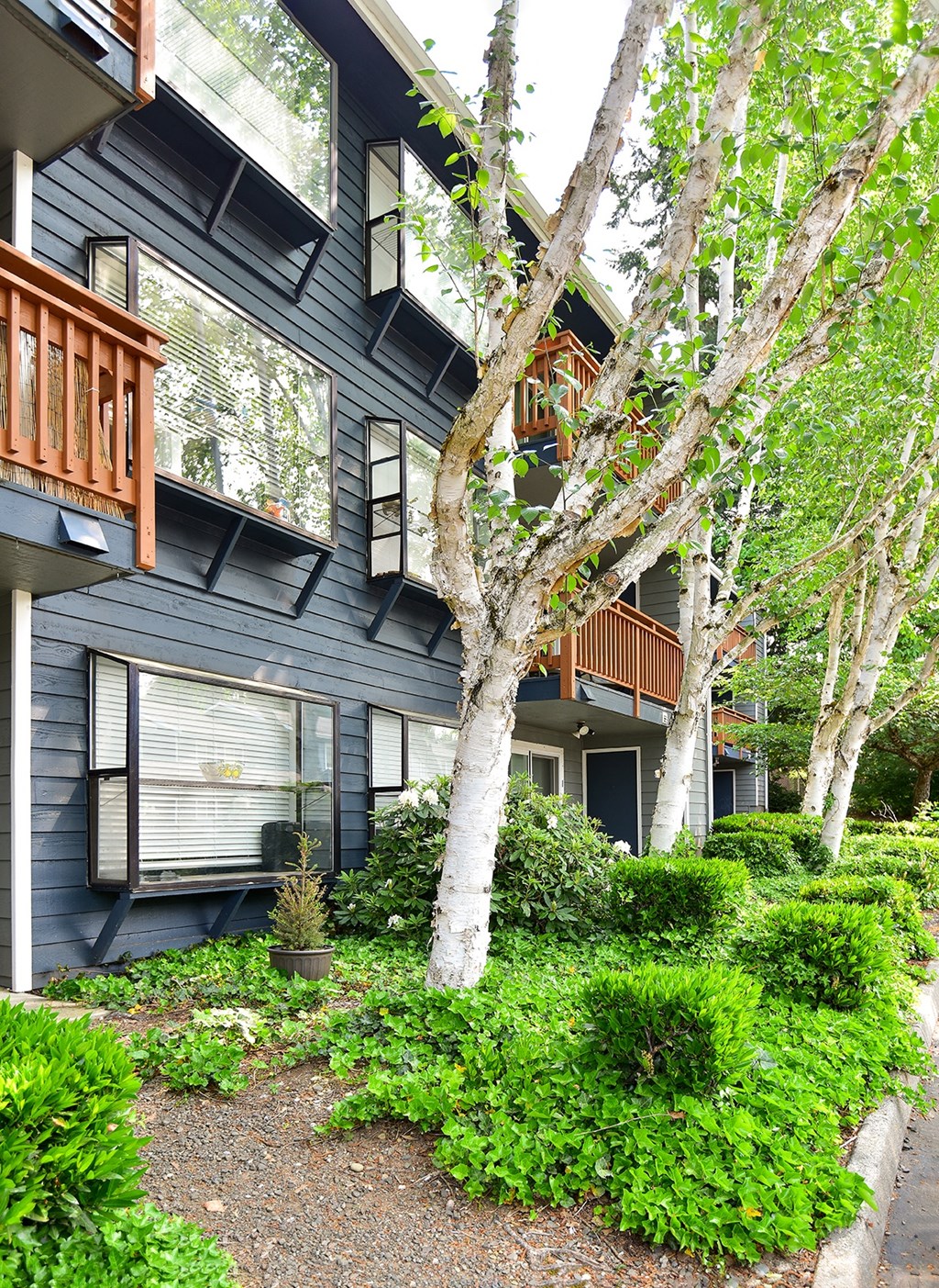 the exterior of the house is painted in a dark gray color with white birch trees and
