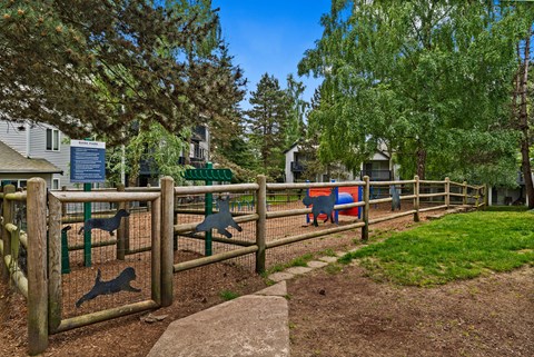 A playground with a slide and a climbing frame.