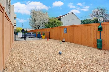 the backyard is fenced in with a wooden fence and a dog playground