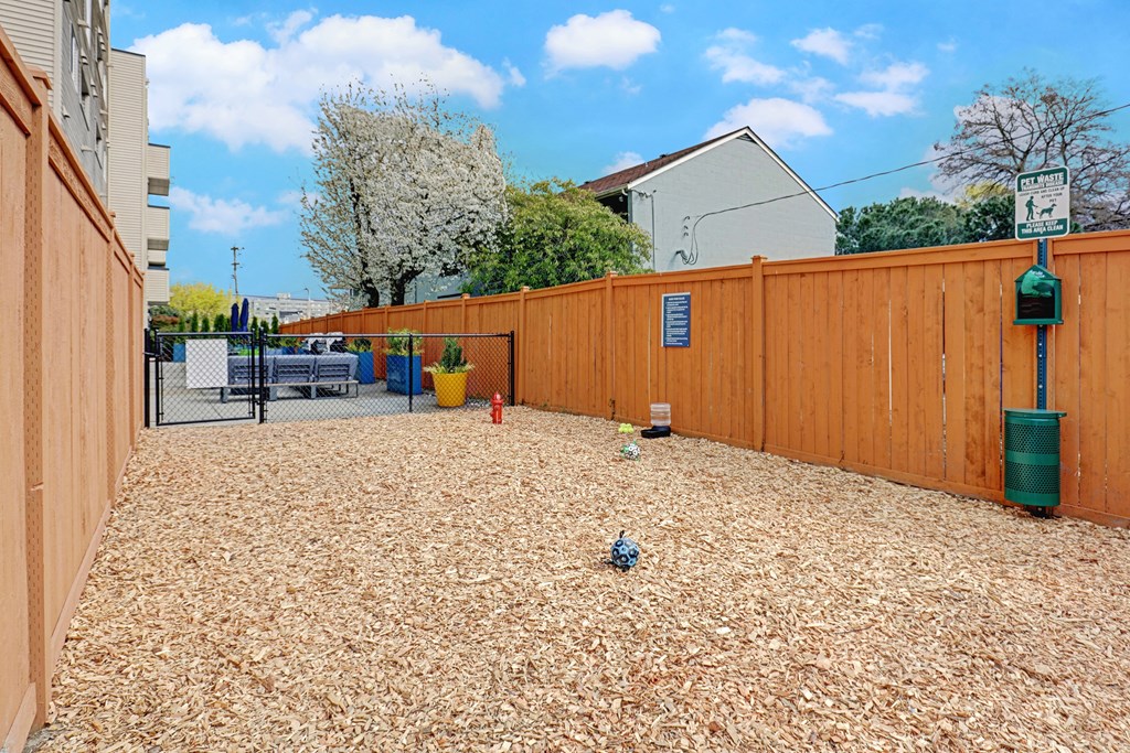 Northgate - Row on Third - Bark Park