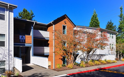 The Lynx Exterior Building at The Lynx Apartments, Washington