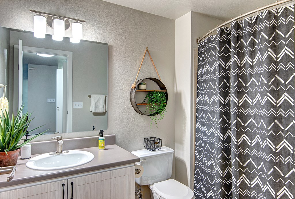 Everett Apartments-  The Lynx Bathroom
