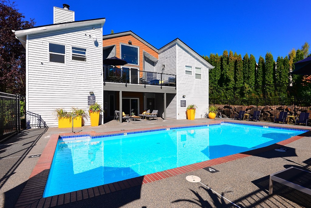 Everett Apartments-  The Lynx Pool