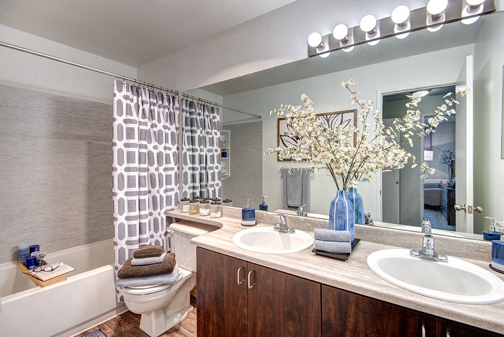Kent Apartments- Signature Pointe Apartments- bathroom