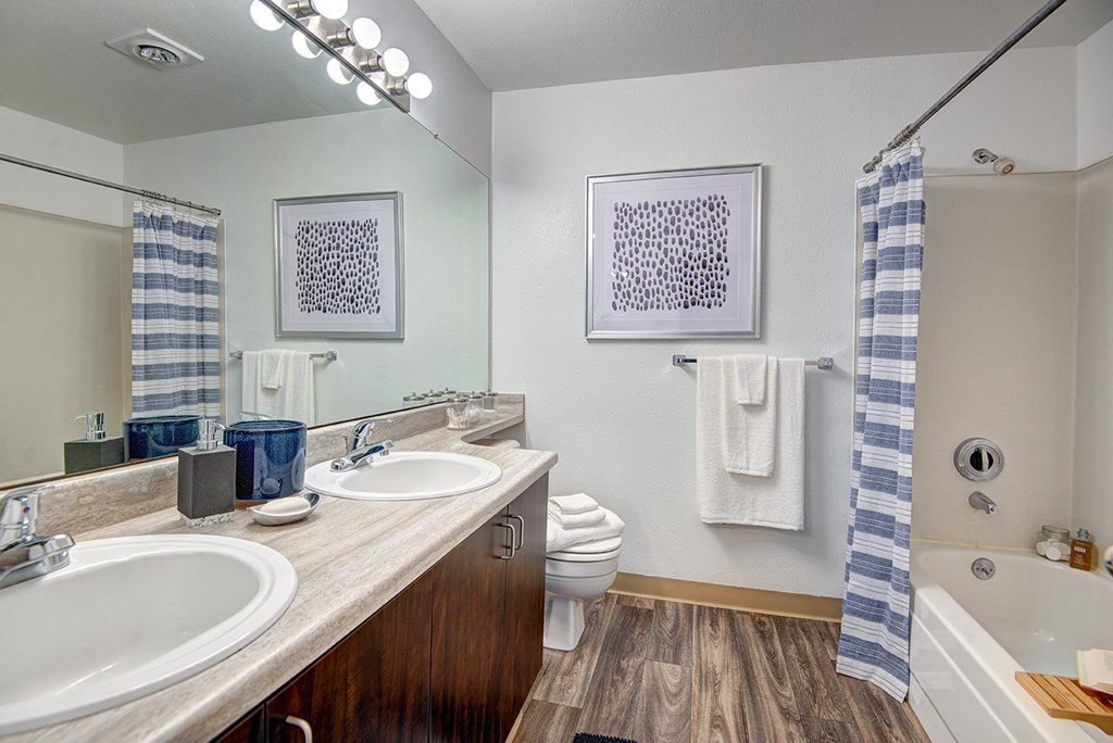 Kent Apartments- Signature Pointe Apartments- bathroom