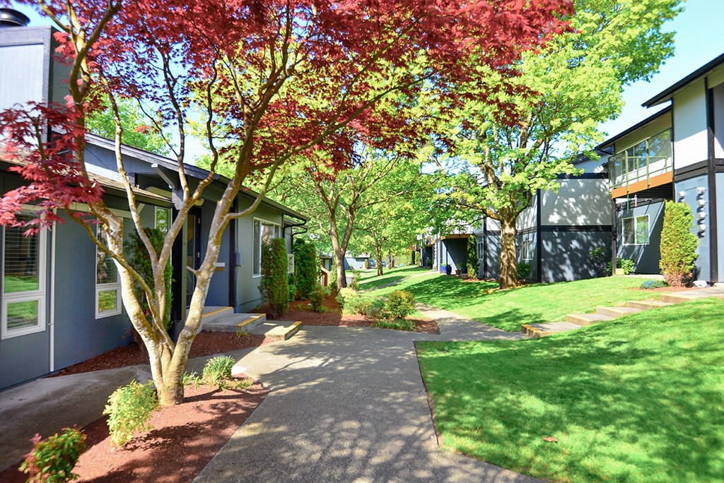 a tree in front of a house