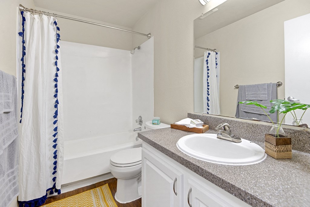 our apartments offer a bathroom with a bathtub