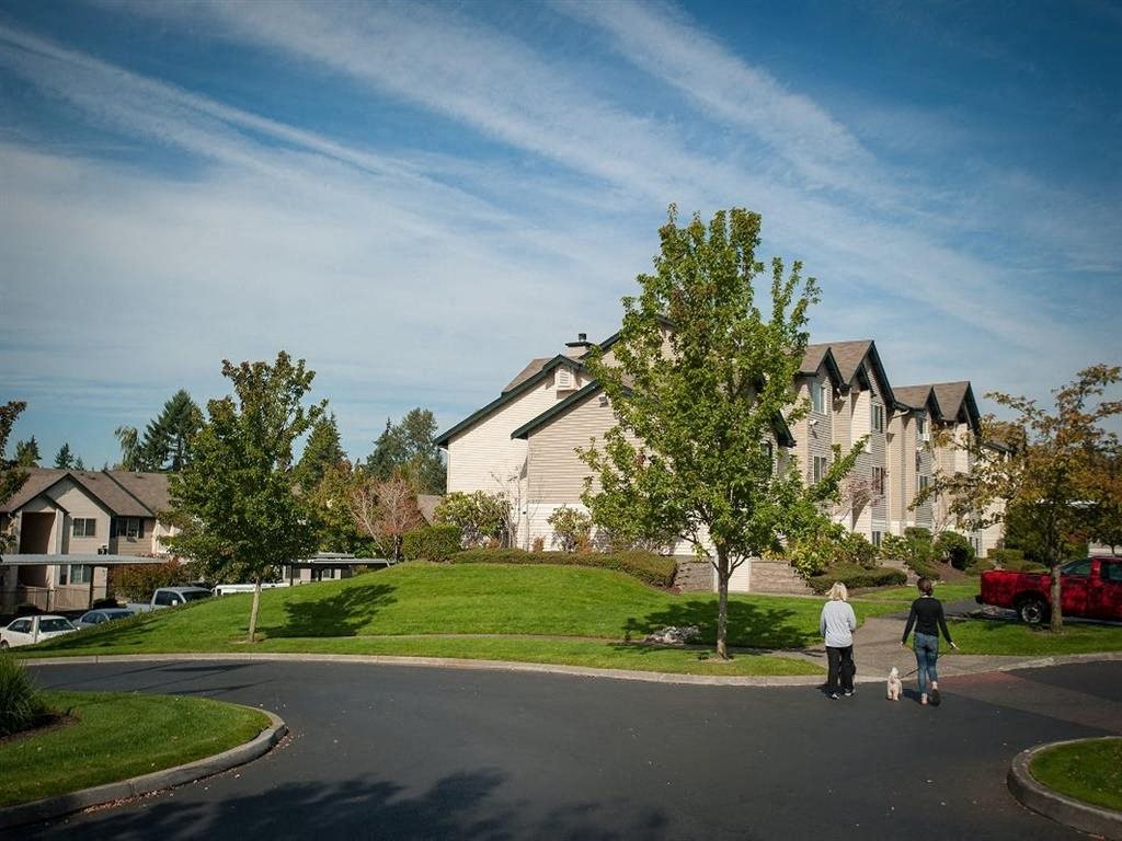 Photos and Video of Deer Creek in Puyallup, WA