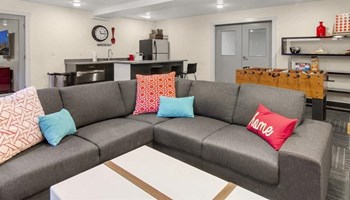 Shoreline Apartments- Junction 160- living room - Photo Gallery 4
