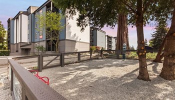 Shoreline Apartments- Junction 160- exterior - Photo Gallery 18