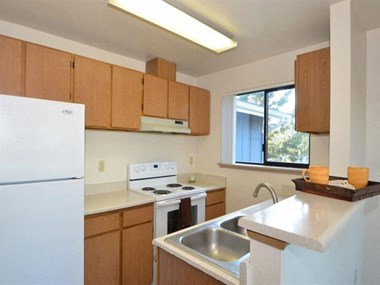 908 76Th Street East 1-3 Beds Apartment for Rent - Photo Gallery 1