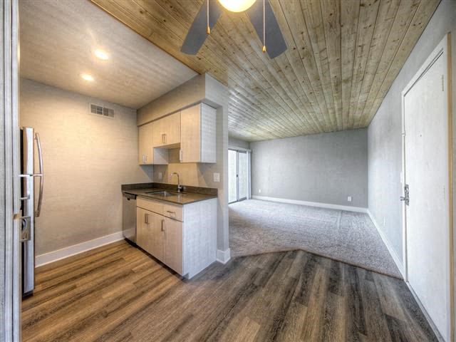 Pheonix Apartments- Icon on Central- Interior Kitchen