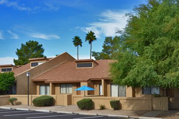 9680 W Olive Ave 1-3 Beds Apartment for Rent - Photo Gallery 5