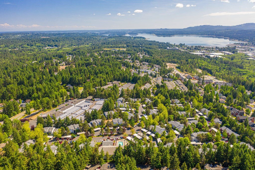 A bird's eye view of a residential area surrounded by trees and a body of water.
