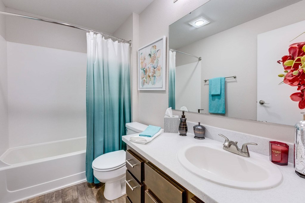 A bathroom with a white sink, a white toilet, a blue shower curtain, and a mirror.
