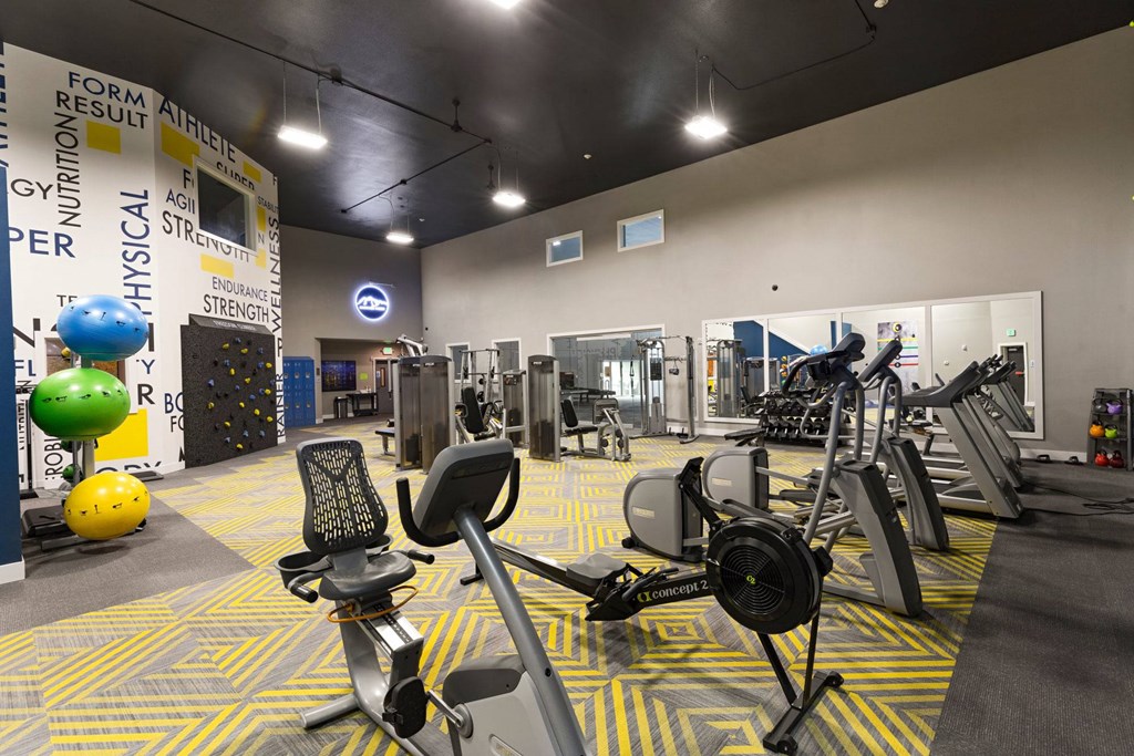 A gym with a variety of equipment including treadmills, weights, and exercise balls.
