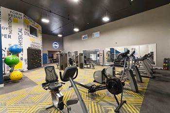 A gym with a variety of equipment including treadmills, weights, and exercise balls.