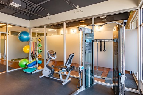 A gym with a treadmill, exercise balls and weights.