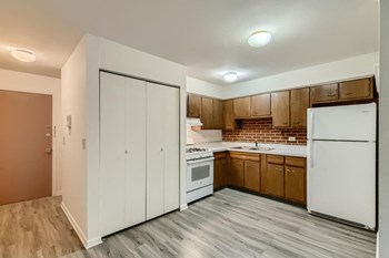 323-409 N. Northwest Hwy. Studio Apartment for Rent - Photo Gallery 4