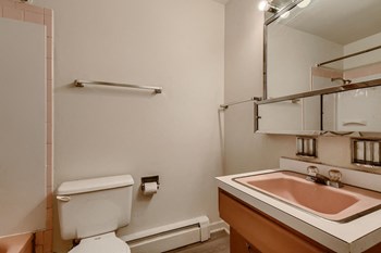 323-409 N. Northwest Hwy. Studio Apartment for Rent - Photo Gallery 6