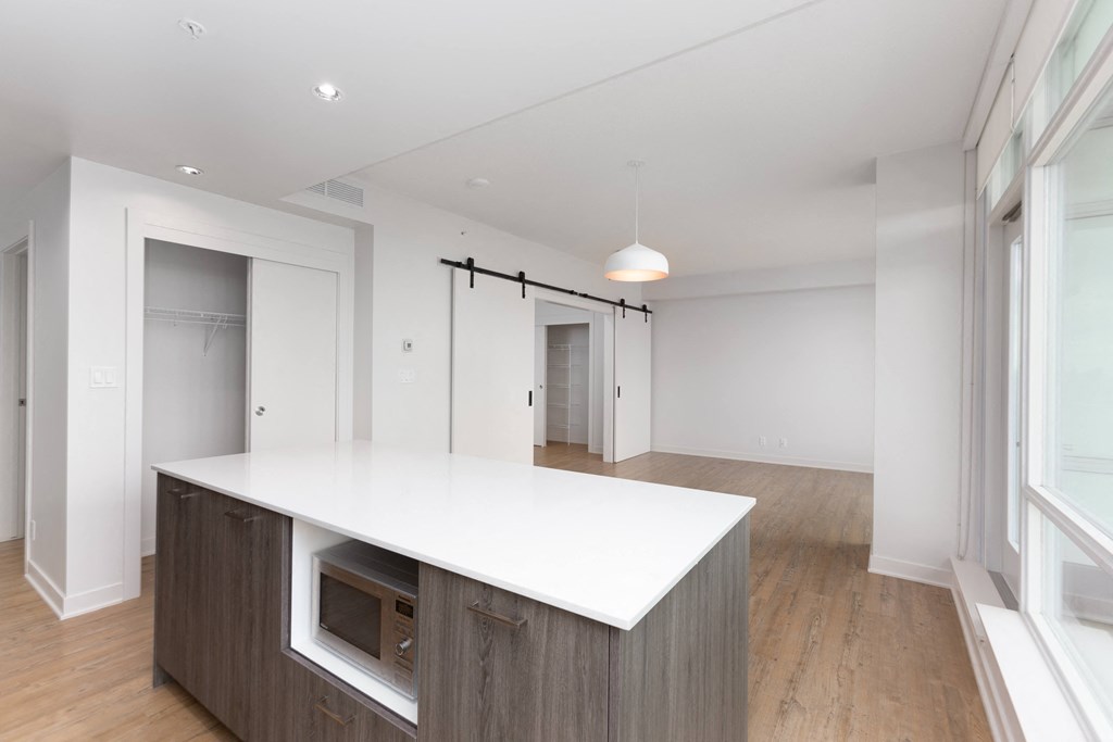 Unfurnished 1 Bed Floor Plan - C Plan