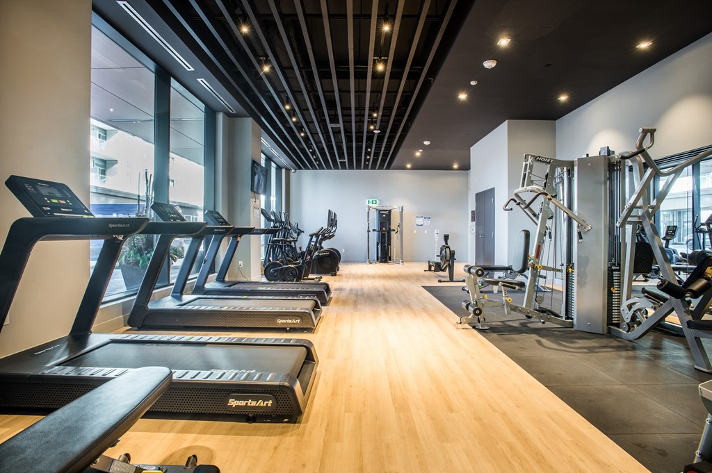 the gym is equipped with a variety of exercise equipment  at The Village, Oakville