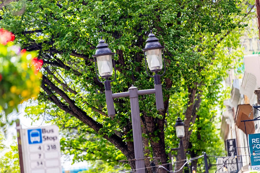 Easily walk, bike or bus to your destination. ETS bus stops on every corner at Southpark, Edmonton, T6E 3S3