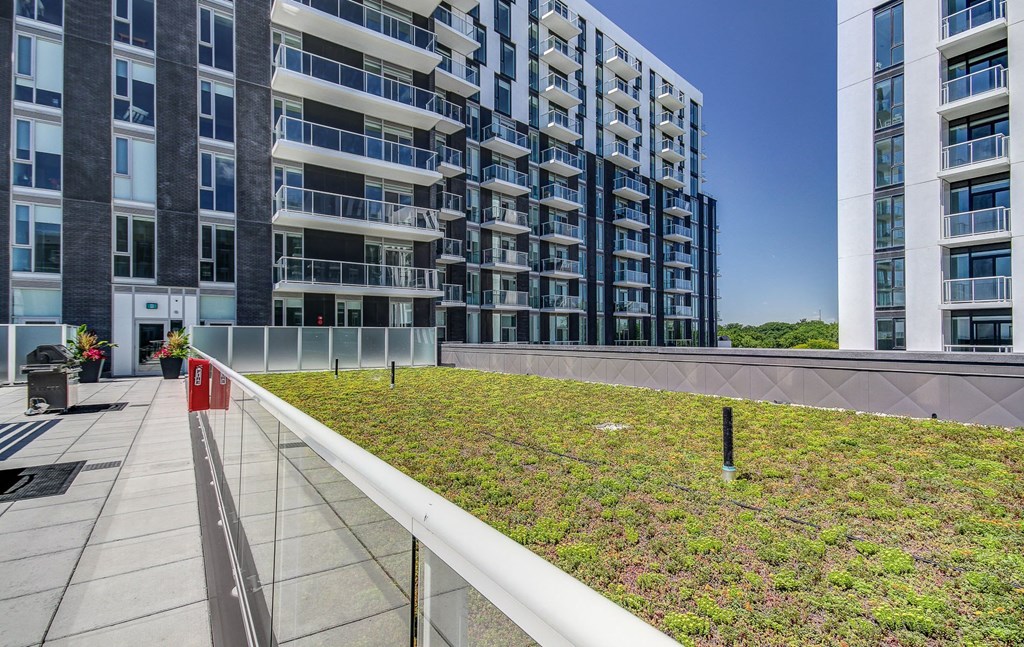 a green space on the roof of a building