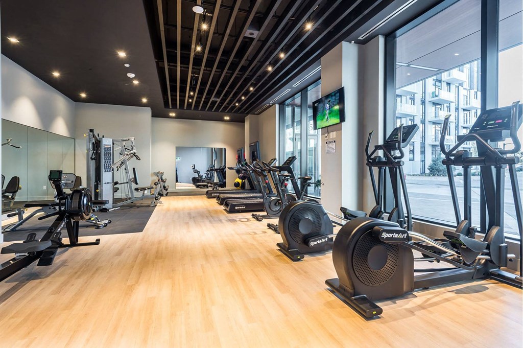 the gym is equipped with a variety of exercise equipment