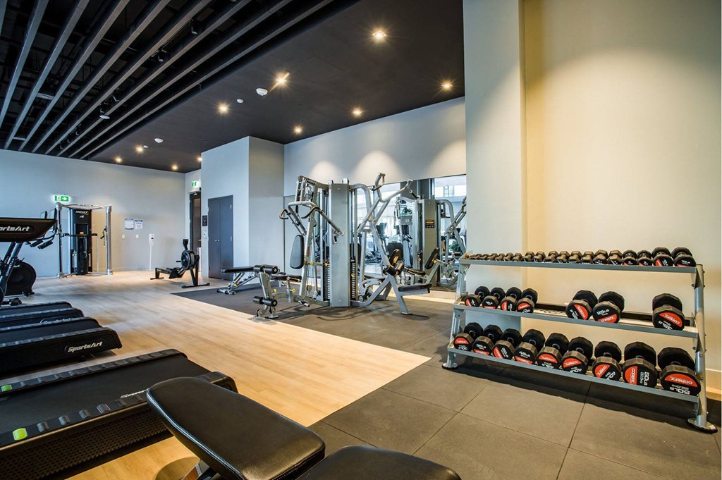 the gym is equipped with a variety of weights and cardio equipment